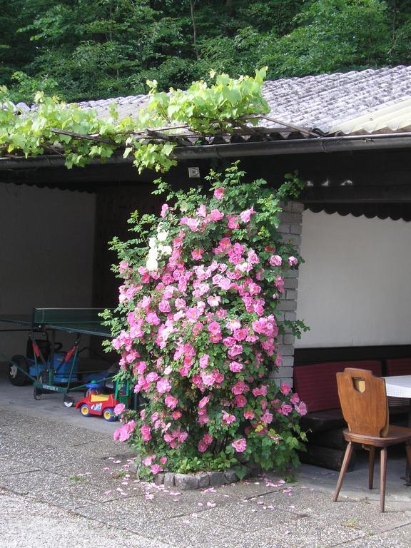 Pension Kasbergblick Scharnstein Luaran gambar