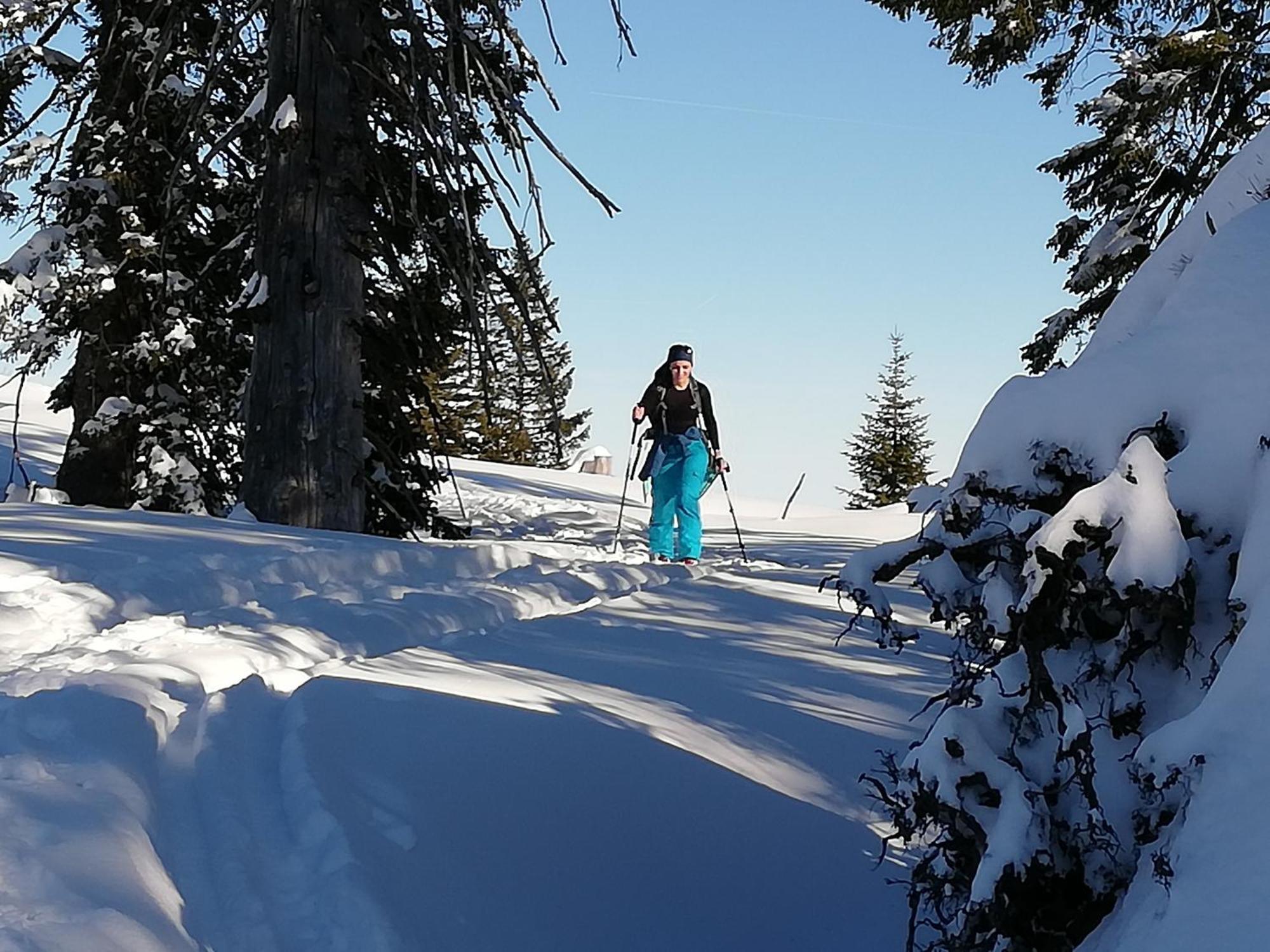 Pension Kasbergblick Scharnstein Luaran gambar